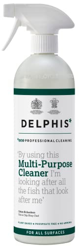 Delphis Eco Multi-Purpose Cleaner 700ml