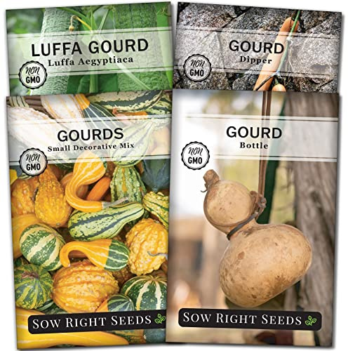 Sow Right Seeds - Gourd Seed Collection for Planting - Packets of Decorative, Luffa, Dipper & Bottle Gourds - Grow Your Own Crafts, Home Decor & More - Non-GMO Heirloom Packets with Instructions