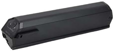 Ebike batteria 48V 17.5Ah Reention Dorado Plus per NCM/Mosca e-bike batterie al litio rimovibili 250W 350W 500W 750W 1000W con BMS e caricabatterie