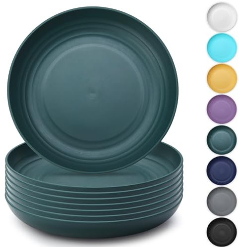 Kyraton Large Deep Plastic Plates 8 Pieces, 9 Inch Dinner Plates, Unbreakable and Reusable Light Weight Dinner Plates Pasta and Dumpling Bowl Microwave Safe