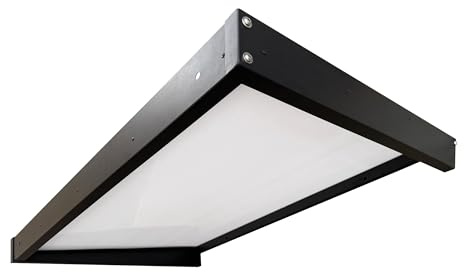 Wasabi - Marquesina Puerta Exterior 120x80cm Axis Plus – Policarbonato 2,7mm Sólido – Soportes de Hierro Antracita – Fácil Montaje – Tejadillo Protección Lluvia Ventana – Cubierta Resistente Jardín