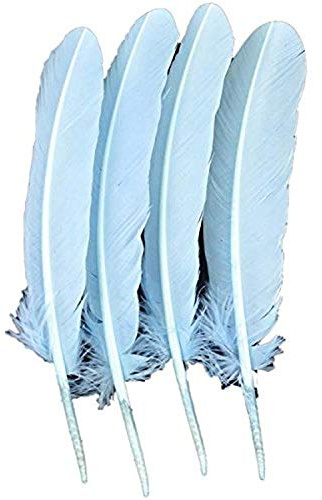 Touch of Nature 4-Piece Turkey Feather for Art and Craft, 12.25 to 13-Inch, Baby Blue