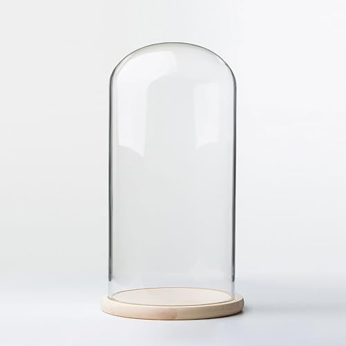 Glasklocka för burkar, 8 cm glasklochekupol med träbas, 10/12/15 höjd, for växter, ornament och figurer(8 * 10cm)