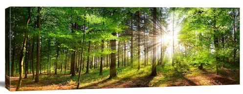 Lienzo decorativo con rayos de sol de bosque, cuadro panorámico de la naturaleza, árboles, juego de luz, impresión artística, 120 x 40 cm, lienzo listo para colgar, artículo 5771
