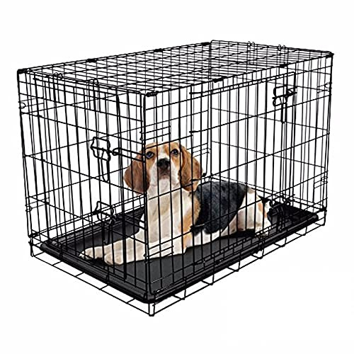 RAC Dog Puppy Cage Folding 2 Door Crate with Plastic Tray Medium 30-inch Black (Medium)