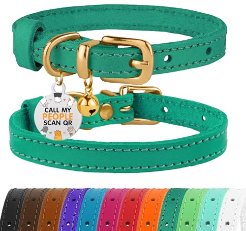 BRONZEDOG Collier pour Chat en Cuir avec Médaille QR-ID Amovible – Collier pour Chaton avec Grelots, Non-Anti-Étranglement, pour Femelles & Mâles (Vert & Or, 18-22 cm)