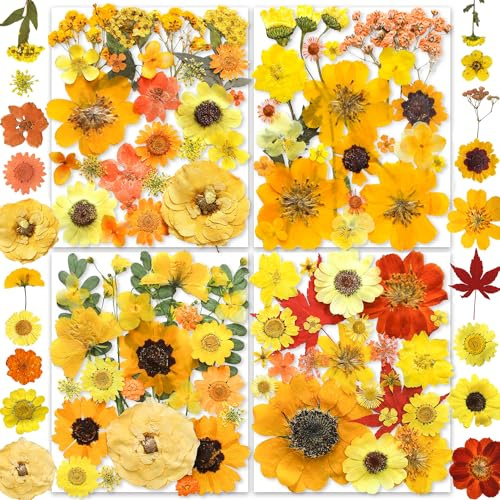 150PCS Yellow Dried Pressed Flowers for Resin - YouthBro Real Nature Flowers Herb Set for DIY Jewelry Candle Soap Vase Making Nail Card Scrapbook Art Craft Floral Decors
