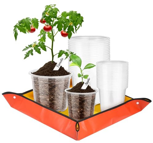 GTNCE 40 Pièces Pots de Germination Clairs avec Tapis de Plantation, Pots Transparent pour Orchidées avec Trou de Drainage et 20 Étiquettes de Plantes, Pots en Plastique (9cm, 10cm)