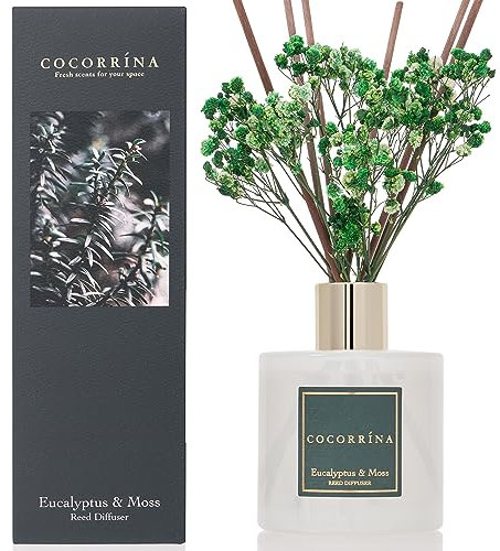 Cocorrína Raumduft Reed Diffuser mit 8 Duftstäbchen 200ml- Eukalyptus & Moos, Natürlich, Langanhaltend, Home Duft ätherisches Öl Reed Diffusor für Badezimmer Regal Dekoration