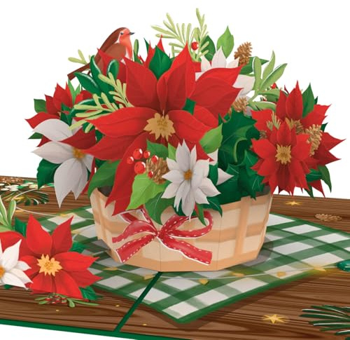 papercrush® Biglietto auguri natale pop up Stella di Natale – Carta regalo natalizia 3D con bouquet di Poinsettia e pettirossi per donna (mamma, moglie, nonna) – Cartolina portasoldi per auguri Natale