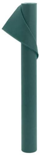 LLEZKBR Furniture Select-Plant Lot de 2 rouleaux de non-tissé 70 g/m² 10 x 1,6 m