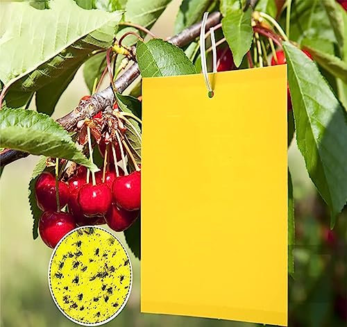 LSRVNM 50 PCS Dual-Sided Sticky Fly Traps, Yellow Sticky Traps, Plant Fly Catcher, Cherry Fruit Fly Maggot Trap, Insect Gnat Traps for Mosquitos, Flying Aphid, Whiteflies, Fruit Flies, Fungus Gnat