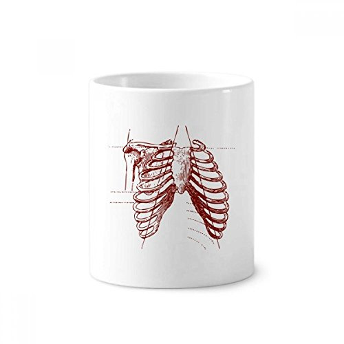 Rib Human Pleural Sketching Skeleton Toothbrush Pen Holder Mug Ceramic Stand Pencil Cup