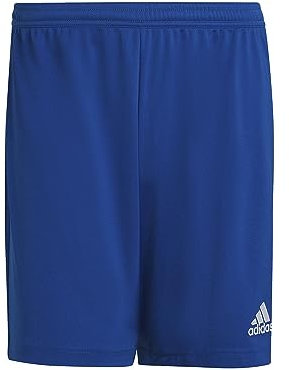 Adidas Homme Entrada 22 Shorts, Royal Blue, L