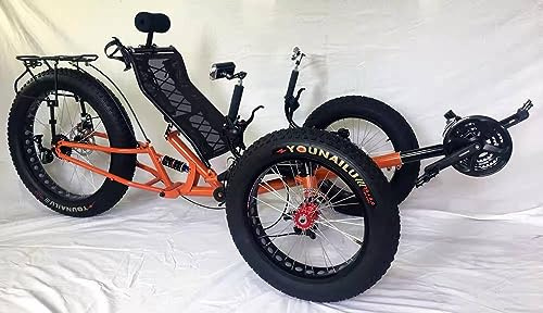 Fat Tire 3 Wheel 9 Speed Recumbent Pedal Tricycle Bike Bicycle