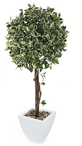 Closer2Nature 3ft 5” Artificial Plant Variegated Green Weeping Fig Plant; Fake Artificial Weeping Tree, Indoor Fig Tree Perfect for Home, Kitchen, Lounge and Office - White Planter Not Included