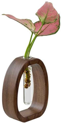 Trä- och glasblommavas - provrör Centerpieces minskar | Modern Hydroponic Vase | Teströr blommor vaser valnöt tst rör vaser perfekt fr, kontor och dekoration