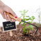 Bonsai Hook Sturdy,Bonsai Root Hook Horticultural Weeding Hook,Single Claw Root Hook Bonsai Root Hook Garden Hook Single Claw Root for Digging, Weeding, Loosening, Gardening Potted Landscap