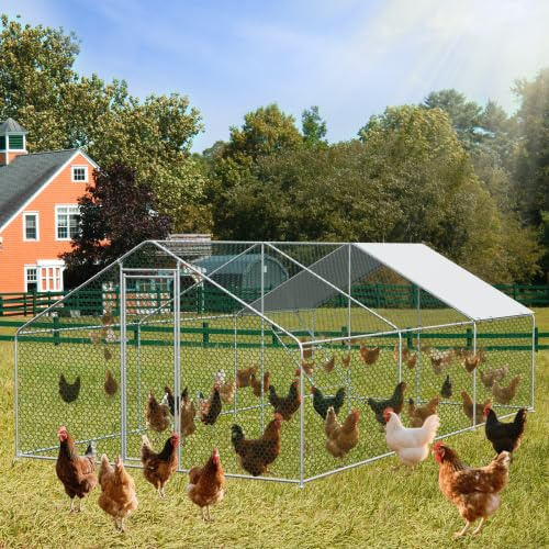Großes Freilaufgehege Hühnerstall XXL Voliere 3x6x2m mit Sicherheitstürschloss, wasserdichter PE-Plane, robustem Metallgestänge, Winterfest, für Hühner, Enten, Kaninchen & Kleintiere