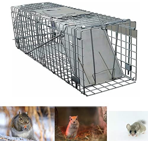 24 x7.5 x8.3 inch Large Humane Mouse Traps, Reusable Garden Rat Rabbit Trap Mouse Cage Trap for Indoors and Outdoors, Galvanised Mesh Live Animal Catcher with 1-Door for Bird, Cat, Dormouse