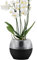 alqua 16CM Self Watering Plant Pots – Black Plastic Flower Pots with Drainage – Indoor & Outdoor Planters for Orchid – Large Garden Pots for Plants – Modern Plastic Plant Containers