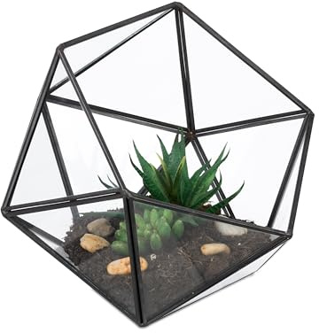 Relaxdays Terrario Piante, Mini Serra Vetro e Zinco, HLP 16x17x20 cm, Piantine Grasse e Muschi, Vaso Ecosistema, Nero
