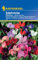 Kiepenkerl Edelwickensamen Mischung - Duftende Kletterblumen, Rankende Staudenwicken für Garten, Wuchshöhe 1-2m, Blumensamen zum Beranken