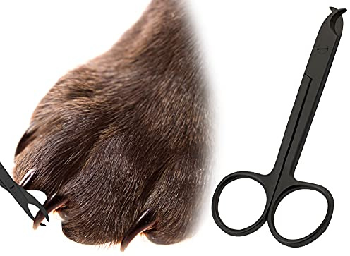 AAProTools Pet Nail Clippers for Small Animals - Best Cat Nail Clippers & Claw Trimmer for Home Grooming Kit - Professional Grooming Tool for Tiny Dog Cat Bunny Rabbit Bird (Black)