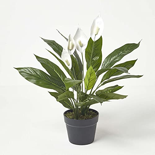 HOMESCAPES Plante artificielle Arum en pot, Fausse plante d’intérieur 60 cm