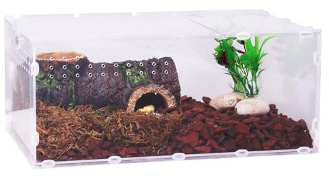 DERNORD Reptilien Acryl Spinnen Terrarium - Acrylbox Vivarium 20x15x35cm Klares Acryl für Springspinnen Tarantula Insekt