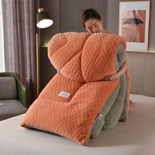 XIUWOUG Épaissir Cachemire Courtepointe Double Chaude, Édredon Gonflant Anti-Allergène, Couette 2 Personnes Laine Luxueuse, Chaud Et Confortable, C, 150X200 3.5KG