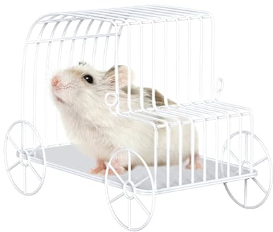 Hamac pour Cochon d'Inde En Treillis Métallique Pour Hamsters | Maison Nid Hamac Cachette Entraînement Fournitures pour Rongeurs Lapins Nains