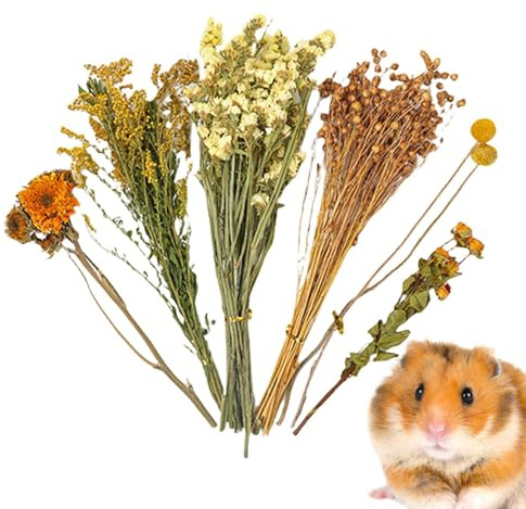 Genérico Flor de Espiga Natural, lecho de Flores secas para hámster, decoración para el hábitat de Ratones, Set de Aerosoles Decorativos para hámsteres y Animales pequeños