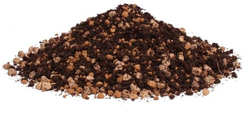 Bonsai-Erde 2 Liter - für Nadelbäume 62010