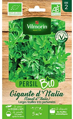 Vilmorin Sachet graines Persil Géant d'Italie Bio - Petroselinum sativum