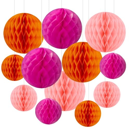 12 Pack Tissue Paper Honeycomb Balls,WideSmart 6 & 10 Party Hanging Paper Flower Balls Decoration,Paper Pom Poms Decorations,Papers Lanterns for Outside,Birthday Baby Shower Wedding Decorations