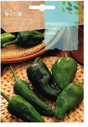Semillas de Pimiento del Padrón PREMIUM para Cultivar en Huerto Urbano