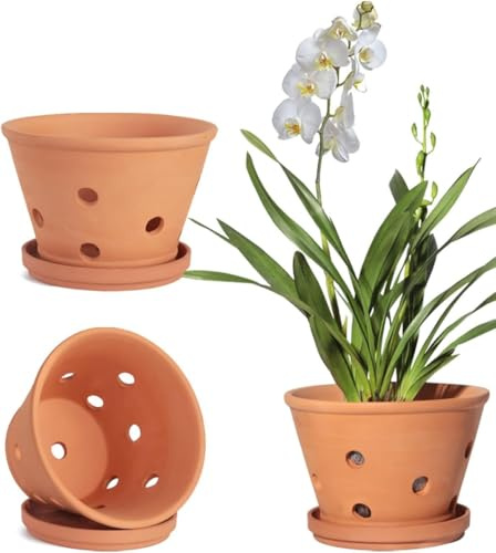 Vasi per orchidee in terracotta da 15 cm con fori e piattini, 3 piccoli vasi per orchidee in argilla per rinvaso, vasi per fiori per orchidee, interni ed esterni, promuove la circolazione dell'aria