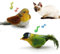 LEWISER Cat Toys Chirping Tit 2 Pcs with Catnip SilverVine, Suitable for Cat Wand Toys, Simulation Bird Design, Interactive Toys for Indoor Kitty Kitten Exercise, Green and Ground