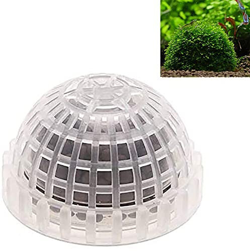 WANGCL Filtre à boule de mousse, boule d'herbe pour aquarium avec boules minérales, plantes vivantes flottantes pour décoration d'aquarium sans graines