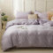 AShanlan Bettwäsche Set 140x200 cm Lila Uni Bettbezug mit Kissenbezug 70x90 cm 100% Weiche und Angenehme Mikrofaser 2 Teilig Violett Bettwäsche mit Reißverschluss für Einzelbett