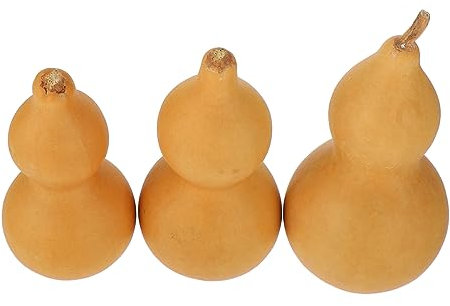 Garneck 9 Pièces Ornements de courge Pumpkin Decoration Décoration de courge calebasse en Bois Vierge courge séchée Naturelle Artisanat Gourde Ornement de Bureau courge Naturelle Chanceux