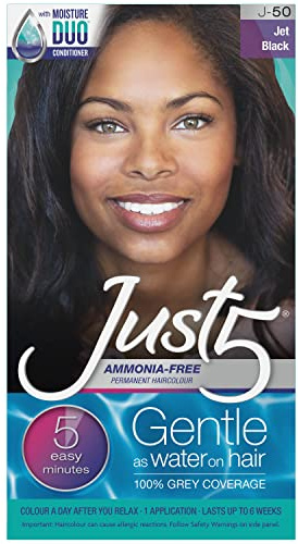 Just 5 Quick and Easy Permanent Hair Dye with MoistureDuo Conditioner, Jet Black J50