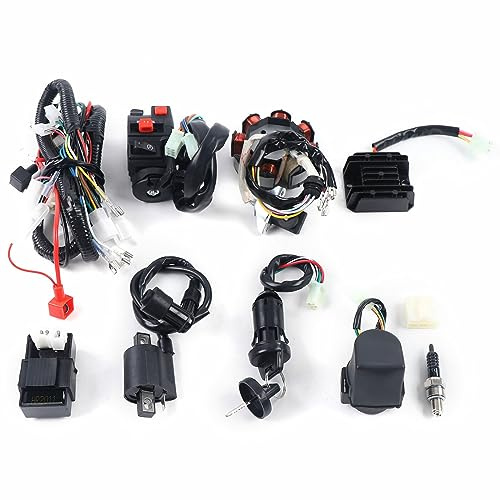 Bobine de stator électrique complète CDI avec faisceau de câbles CDI, bougie d'allumage, quad, faisceau de câbles, bobine magnétique CDI, quad, Dirt Bike ATV pour 50 cm³, 70 cm3, 90 cm3, 110 cm³, 125