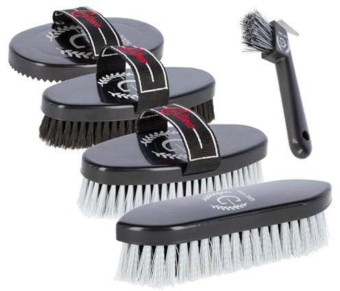 Covalliero - Set di pulizia per principianti | spazzola per criniera, cardini, strisce, spazzola per pelliccia e raschietti per zoccoli | cura del pelo e dello zoccolo | qualità