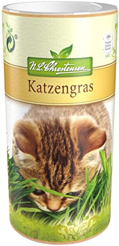 Premium Katzengras Samen Chrestensen, Grassamen schnellkeimend, 1 Dose 110 g, reicht für ca. 4-5 m² Katzengras fertig gewachsen, Natürliche Katzen Leckerlies zu Hause