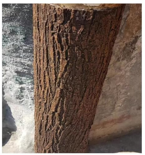 Corteccia di Albero Artificiale 0,2X1m Corteccia di Albero Artificiale Durevole per la Decorazione per Il Paesaggio(0.4X1m)