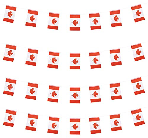 WXTWK bandiera bandiera bandiera paese (Canada)