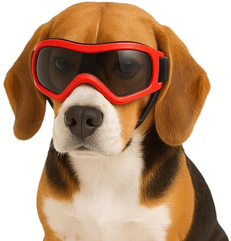 Fohuanky Dog Goggles for Small and Medium Breeds Adjustable Pet Sunglasses with UV Protection Dog Glasses for Travel Hiking Outdoor Fun (Red, M)
