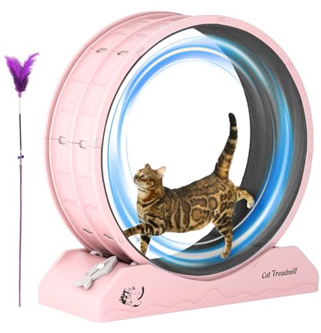Rueda de ejercicio para gatos | Herramienta de fitness para gatitos pequeños, rueda de correr para gatos de interior, pérdida de peso, cinta de correr para gatitos con bajo ruido